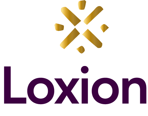 loxion.com